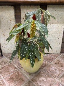image0